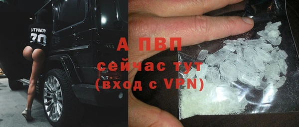 стаф Аркадак