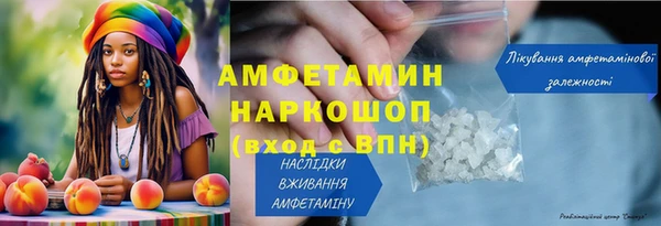 стаф Аркадак