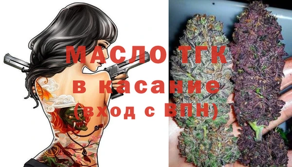 стаф Аркадак