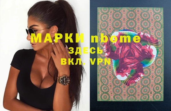 стаф Аркадак