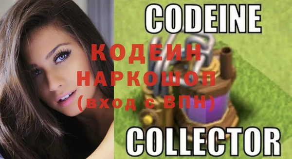 стаф Аркадак