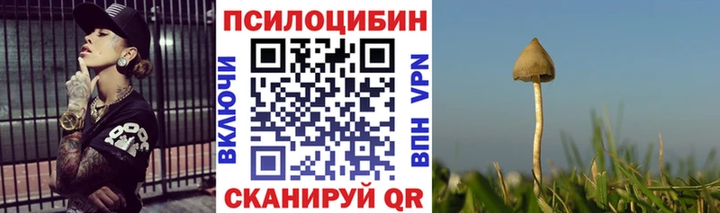 цена наркотик  Мурманск  Галлюциногенные грибы мухоморы 